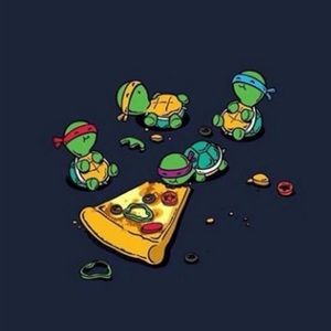 Meet your Posher, Alli lynn